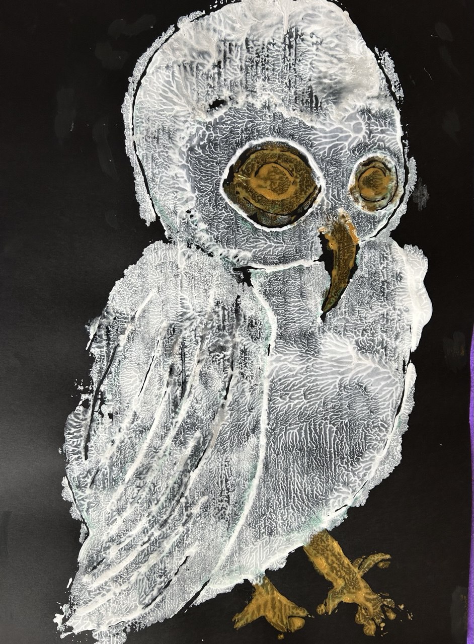 photo_2025-03-20_16-28-27