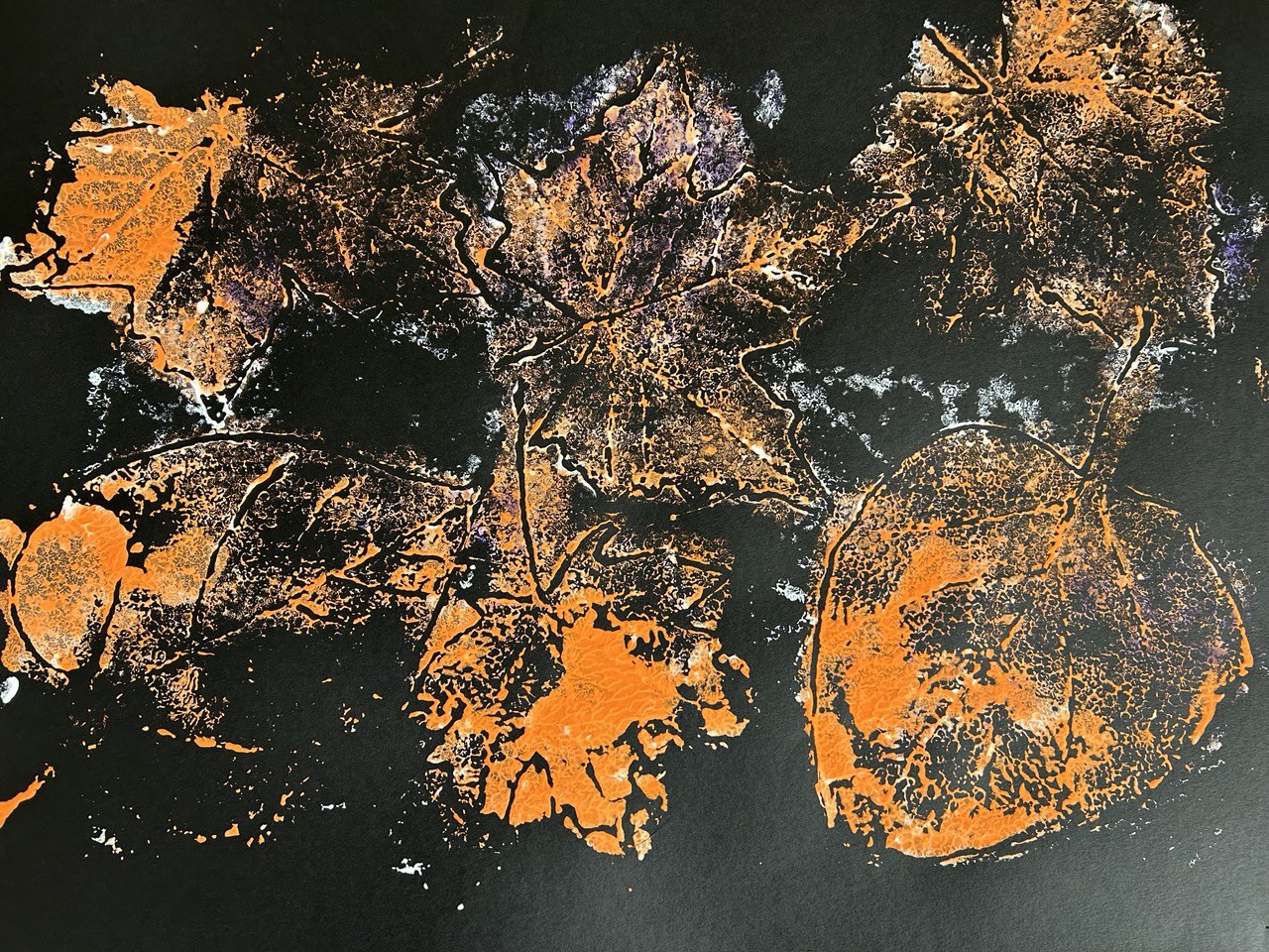 photo_2025-03-20_16-28-36