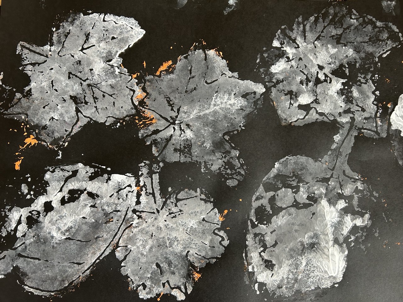 photo_2025-03-20_16-28-39